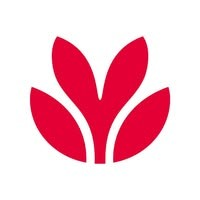 Envision Financial